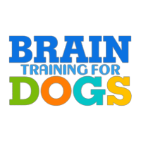 Brain Training for Dogs